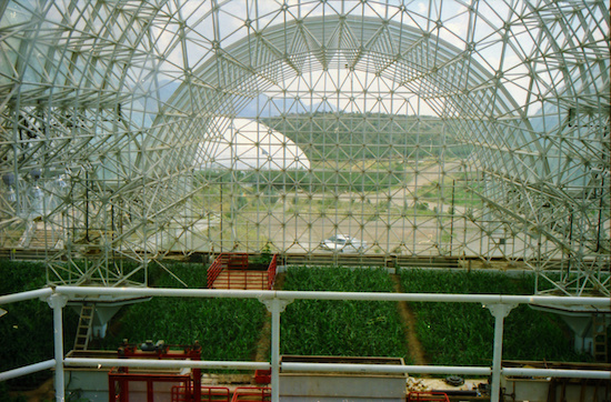 Untitled:Users:Jennifer:Desktop:Biosphere 2:BIO6.jpg